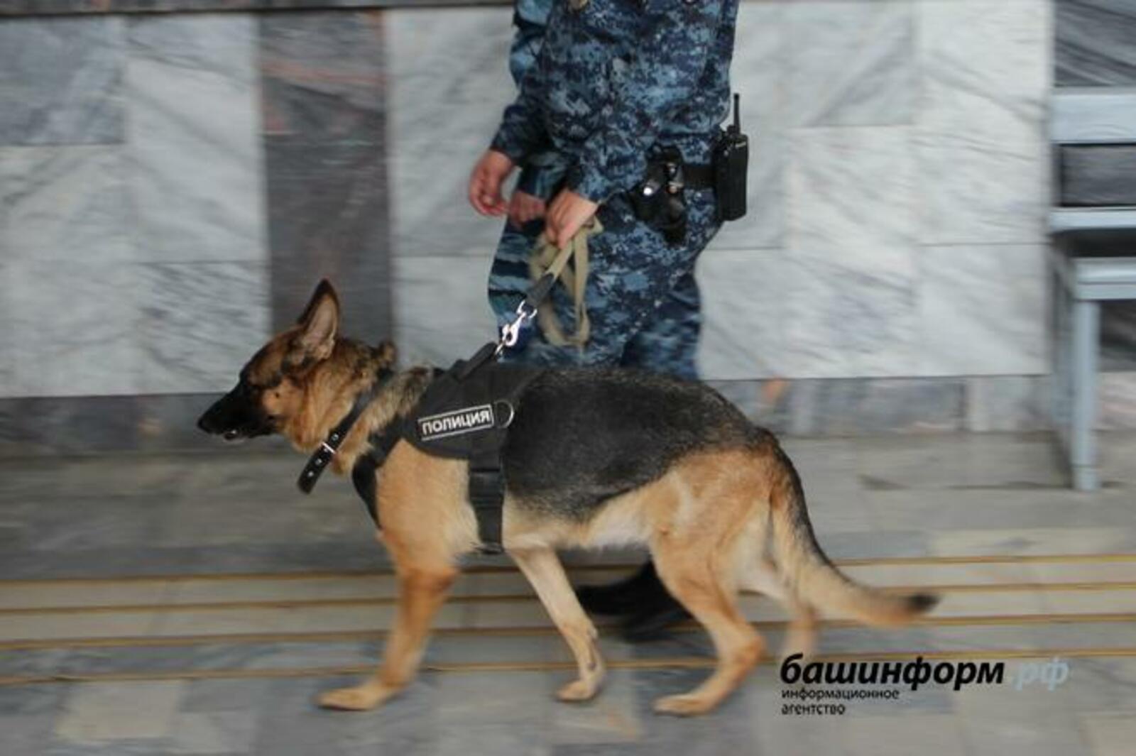 Ксения Калинина