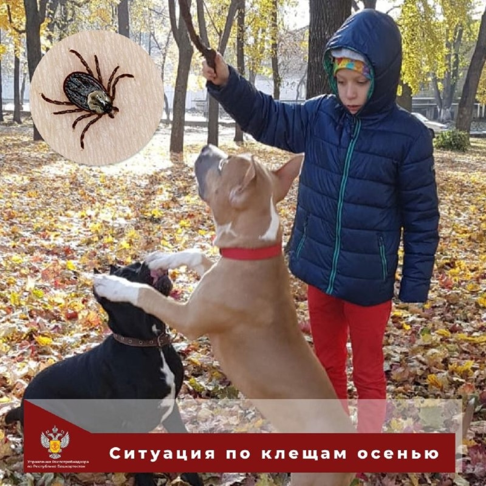 управление Роспотребнадзора по РБ