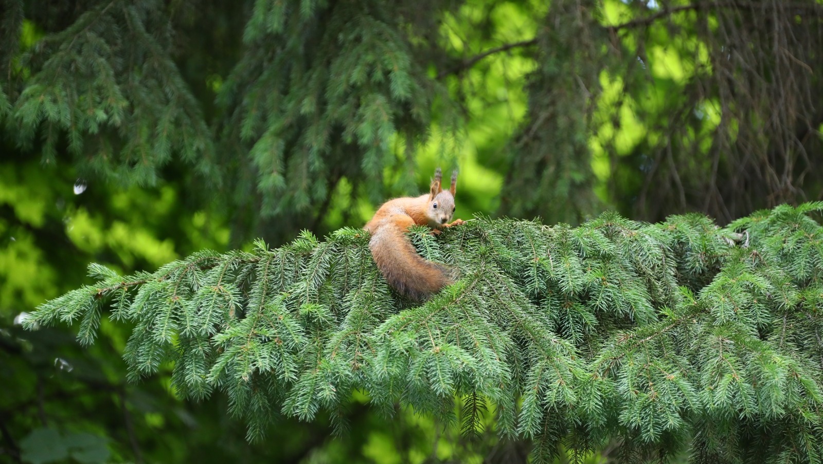 Валерий Шахов архив ИА "Башинформ"
