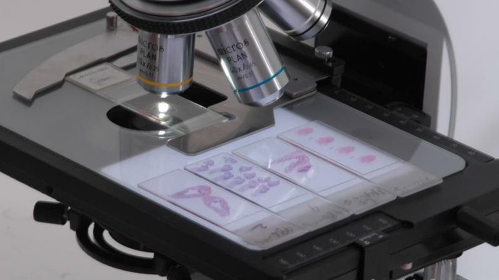 ИА «Башинформ»