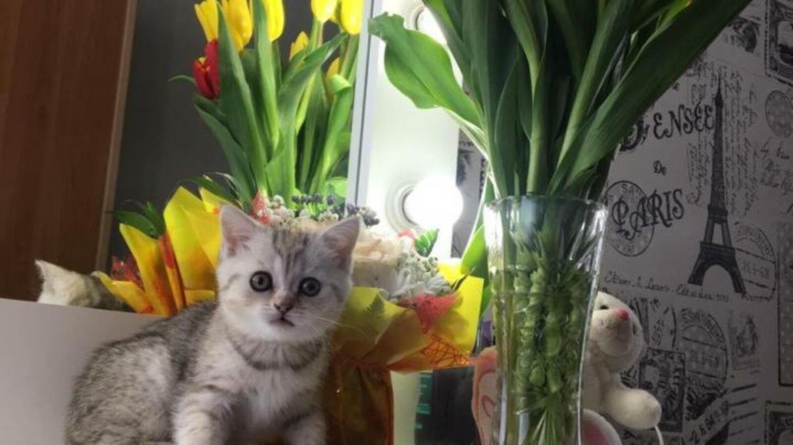 Анжела Зайцева