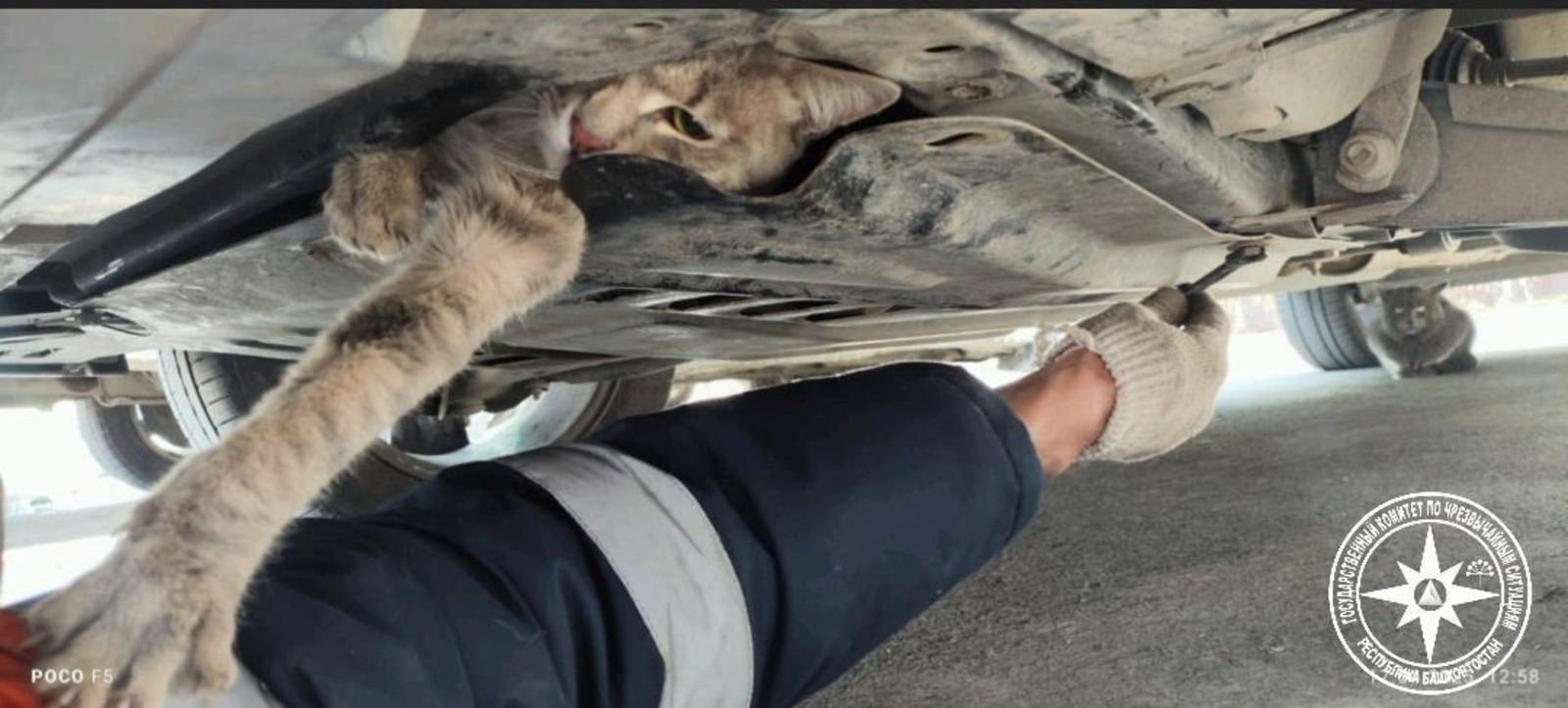 госкомитет РБ по ЧС