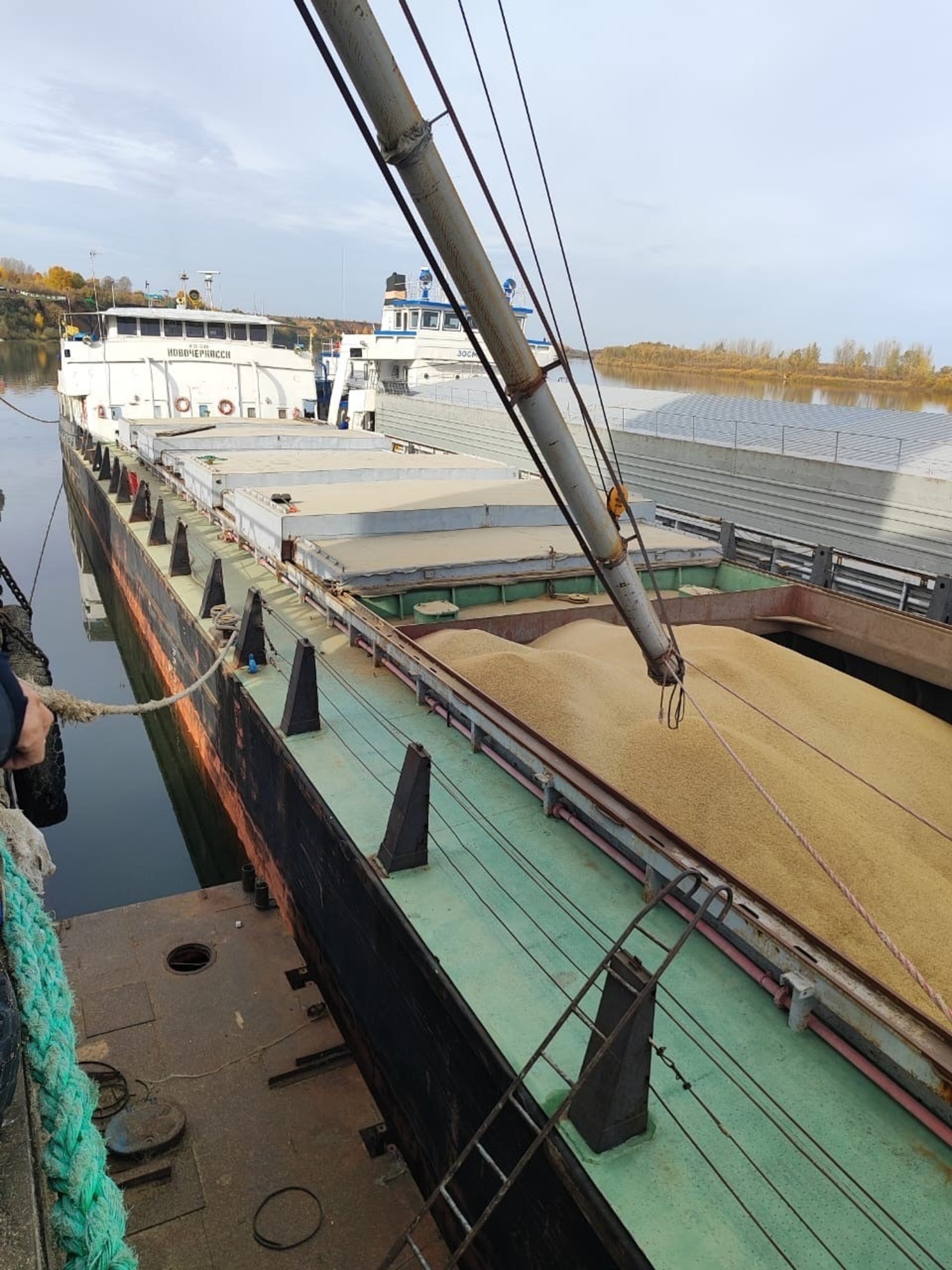 РСХН по РБ 102.fsvps.gov.ru