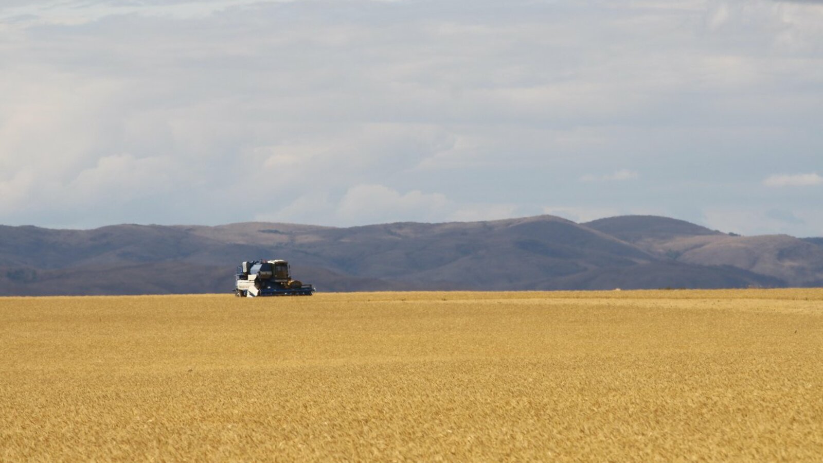 Валерий Шахов