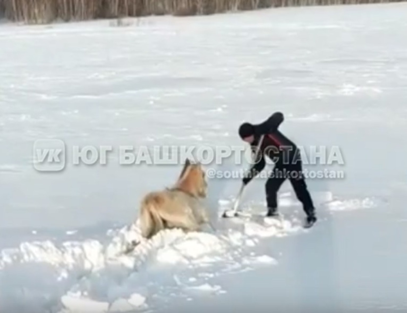 скриншот видео