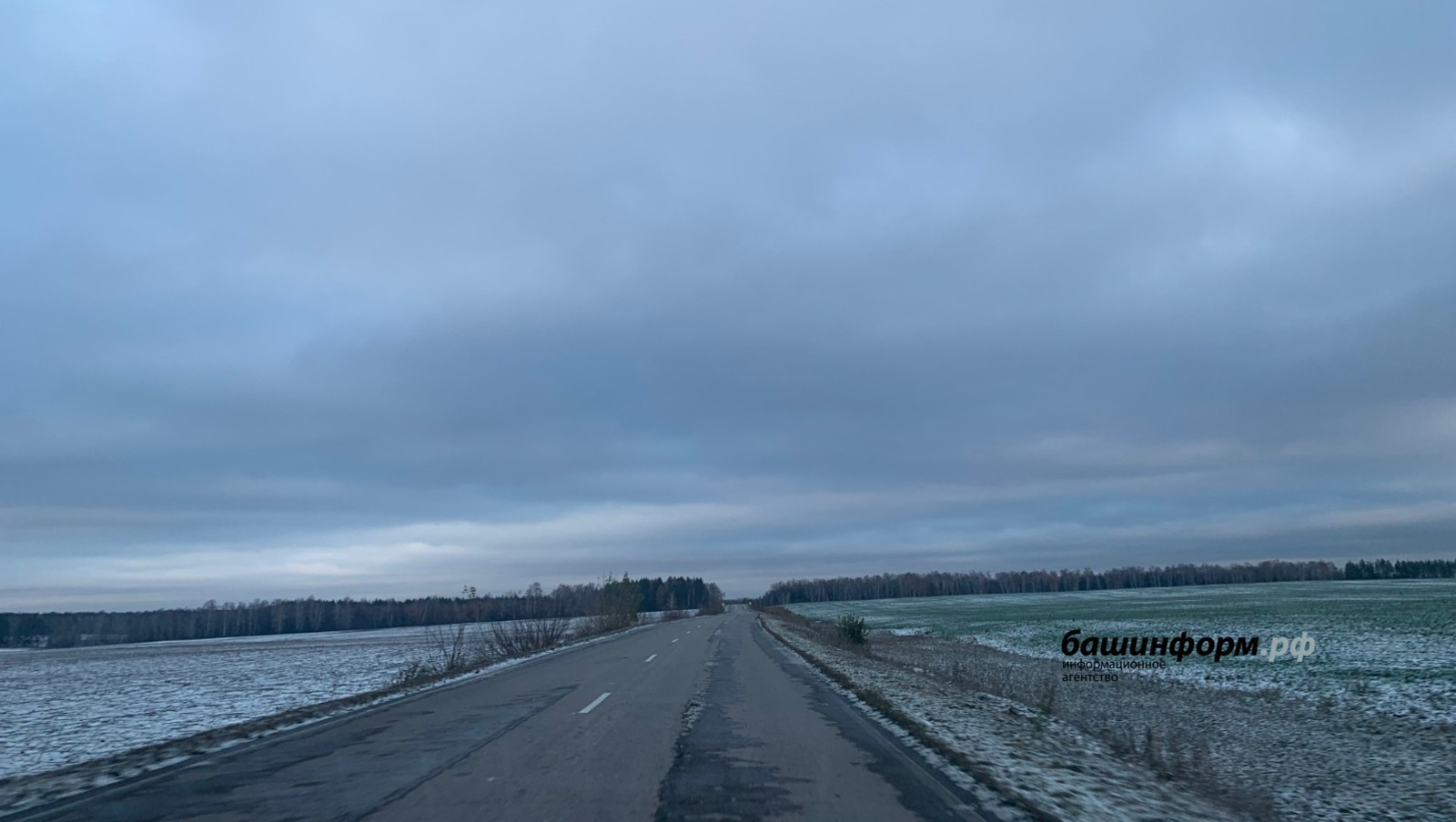 Галина Бахшиева