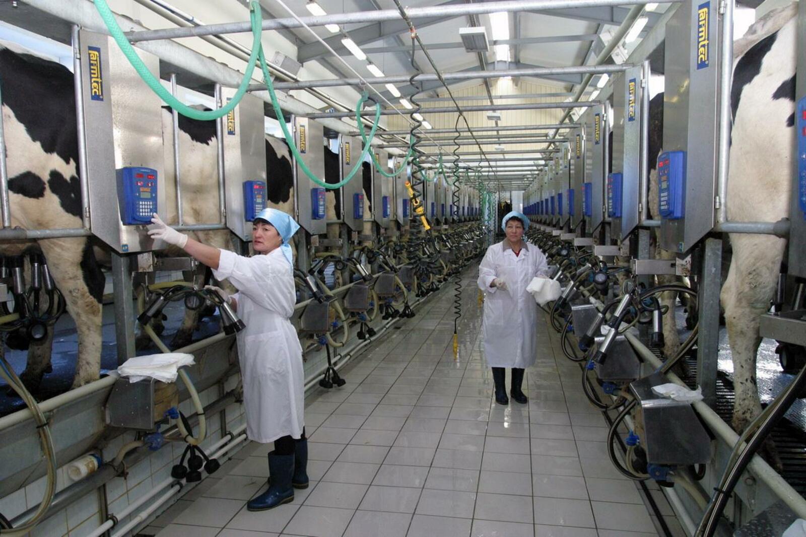 ИА «Башинформ»