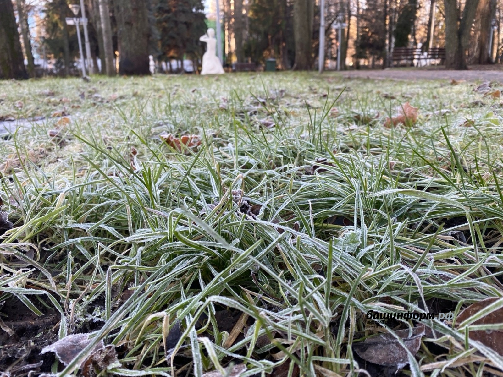 Наталья Овчарук Автор
