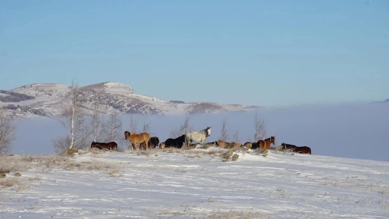 Радий Хабиров Официальный канал Главы Башкирии в MAX