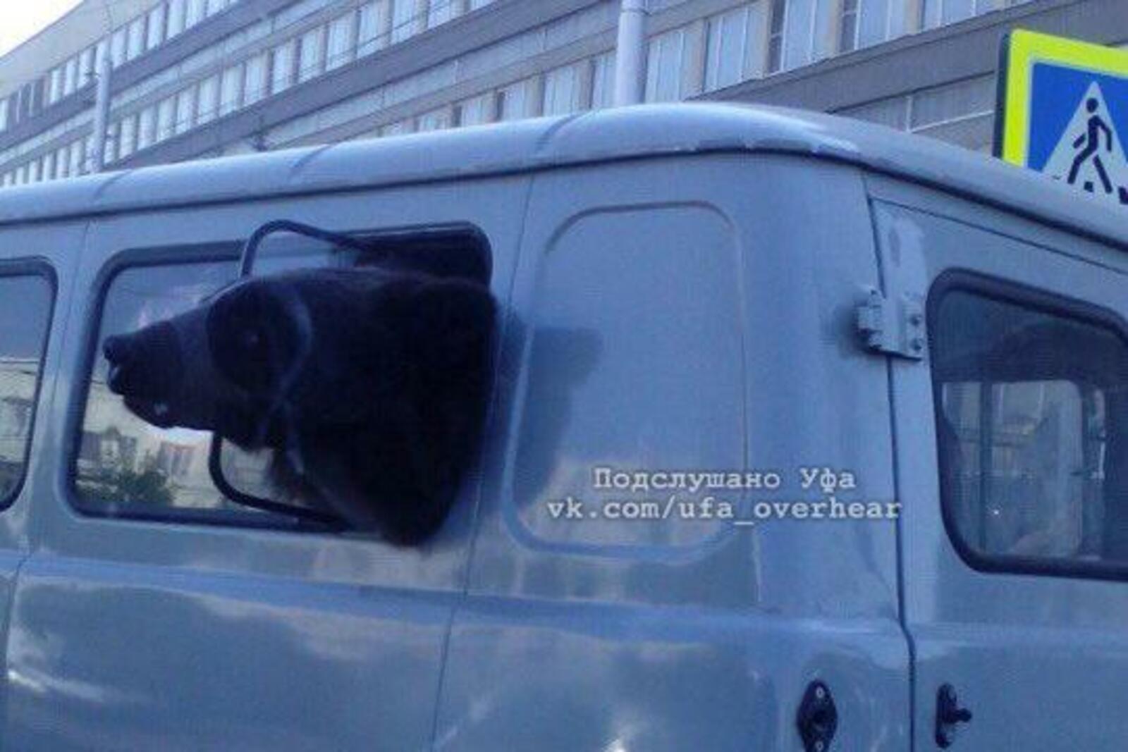 группа «Подслушано Уфа»