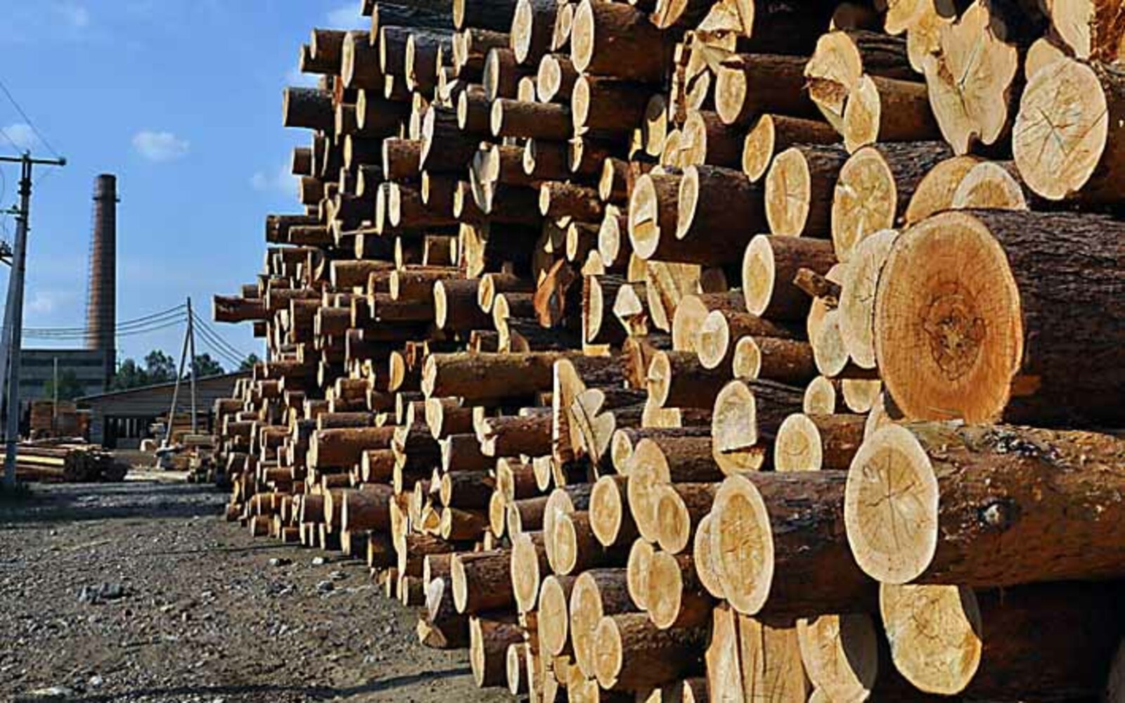 Как использовать богатство леса. Древесина в промышленности. Переработка дерева. Утилизация древесины. Лесная и деревообрабатывающая промышленность.