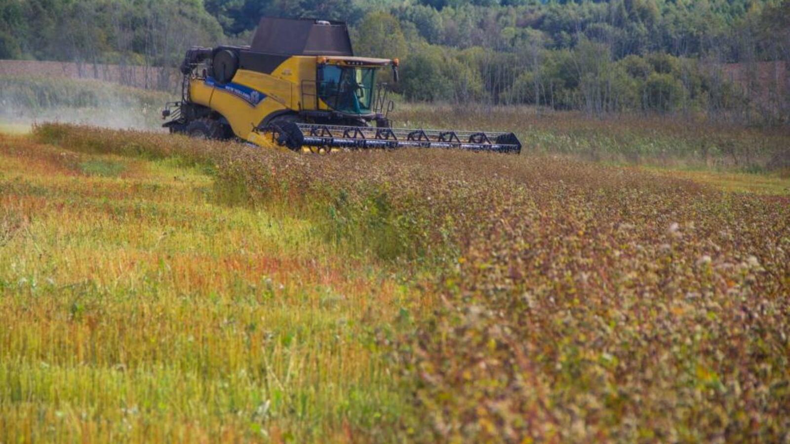 Минсельхоз РБ