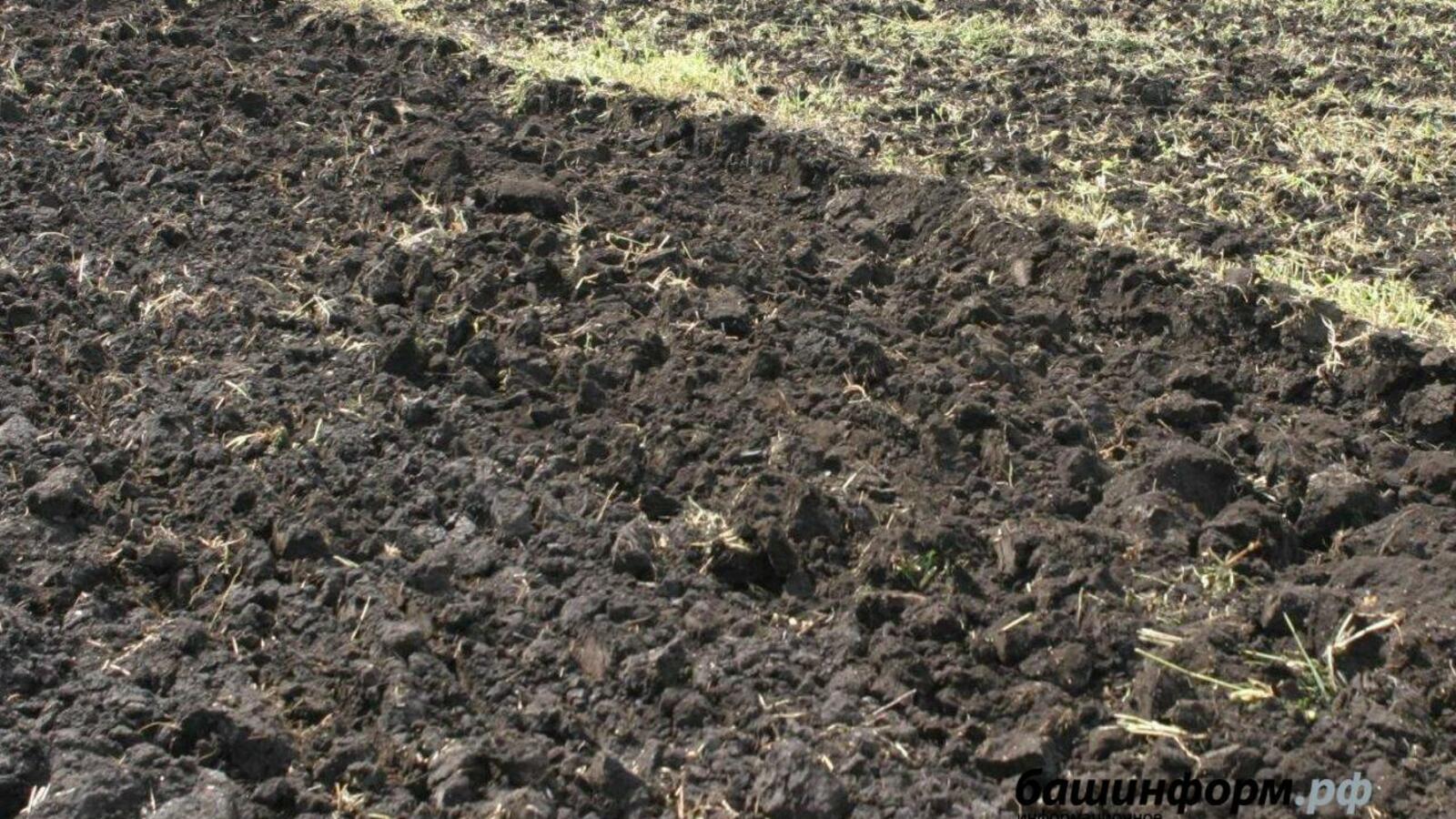 ИА «Башинформ»