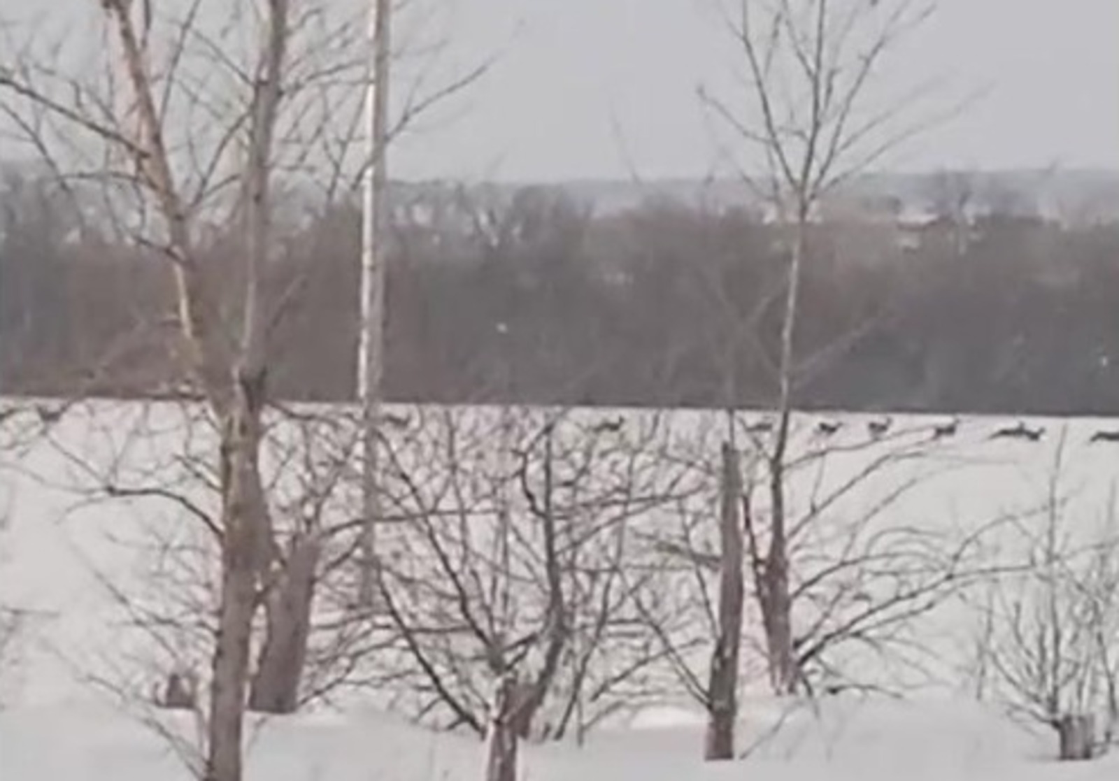стоп-кадр видео