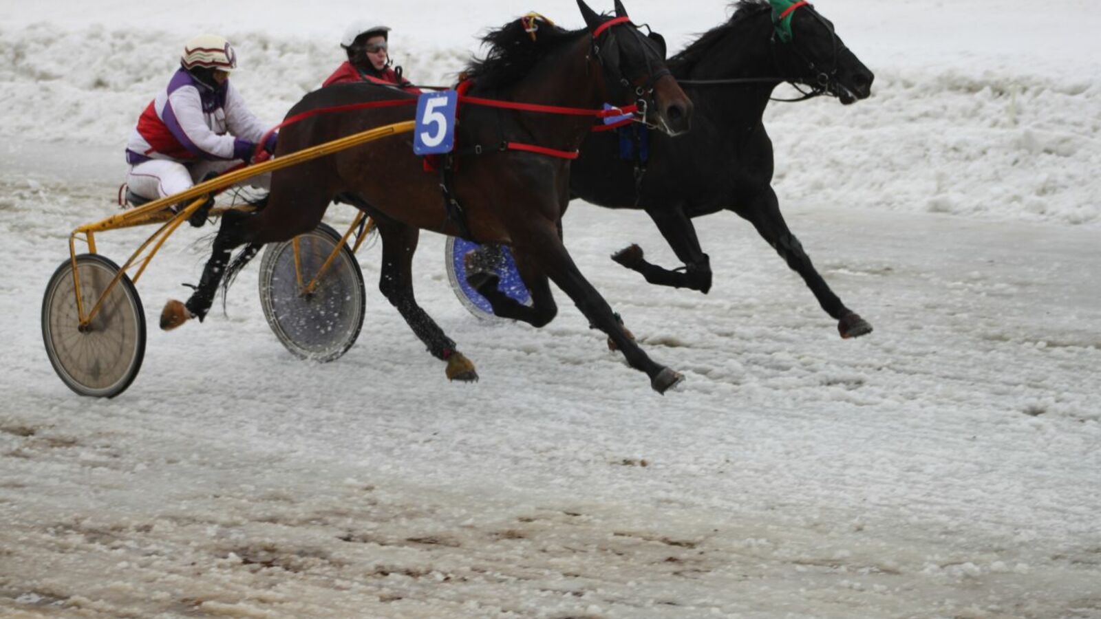 ипподром «Акбузат»