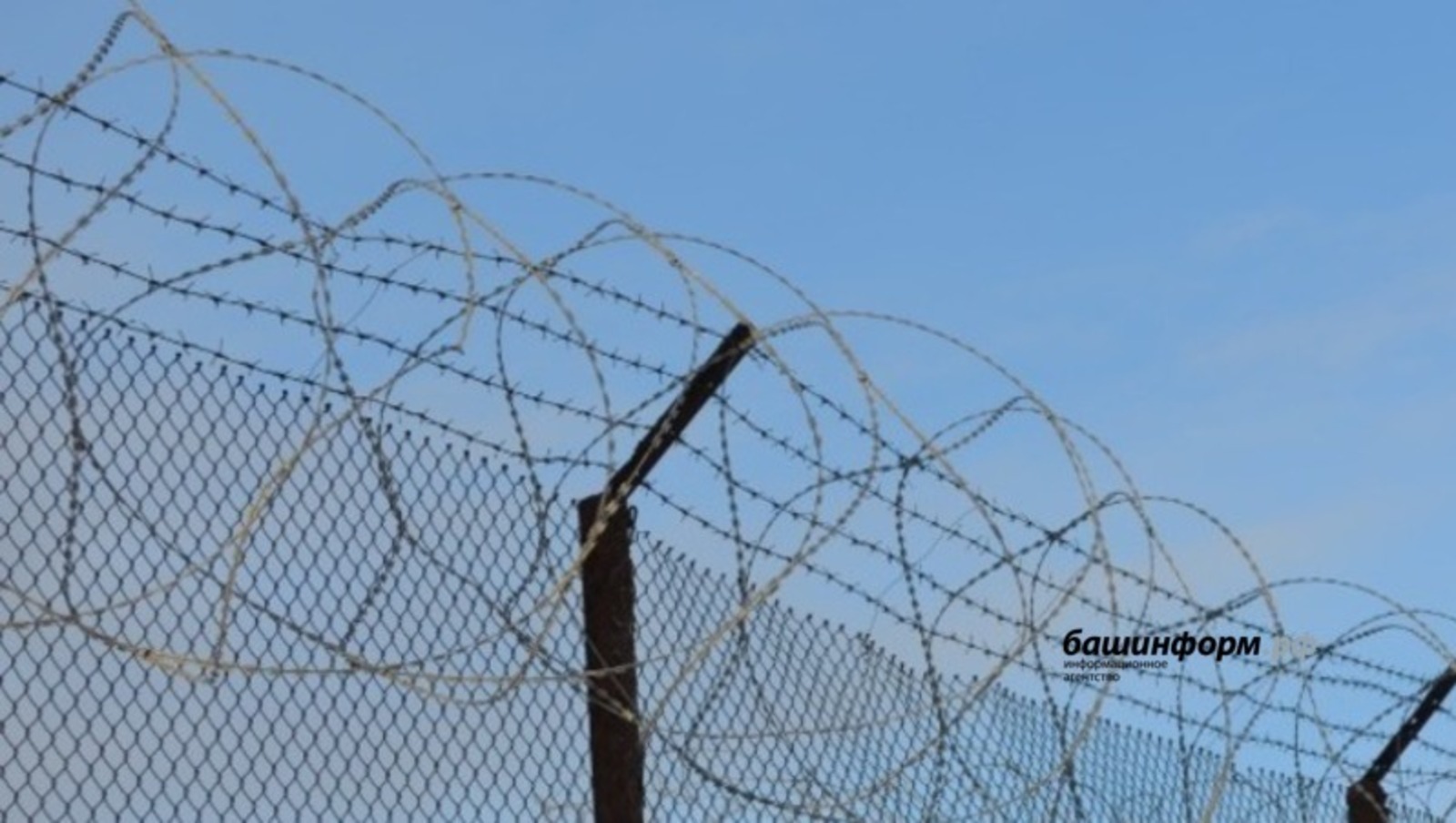 Ксения Калинина