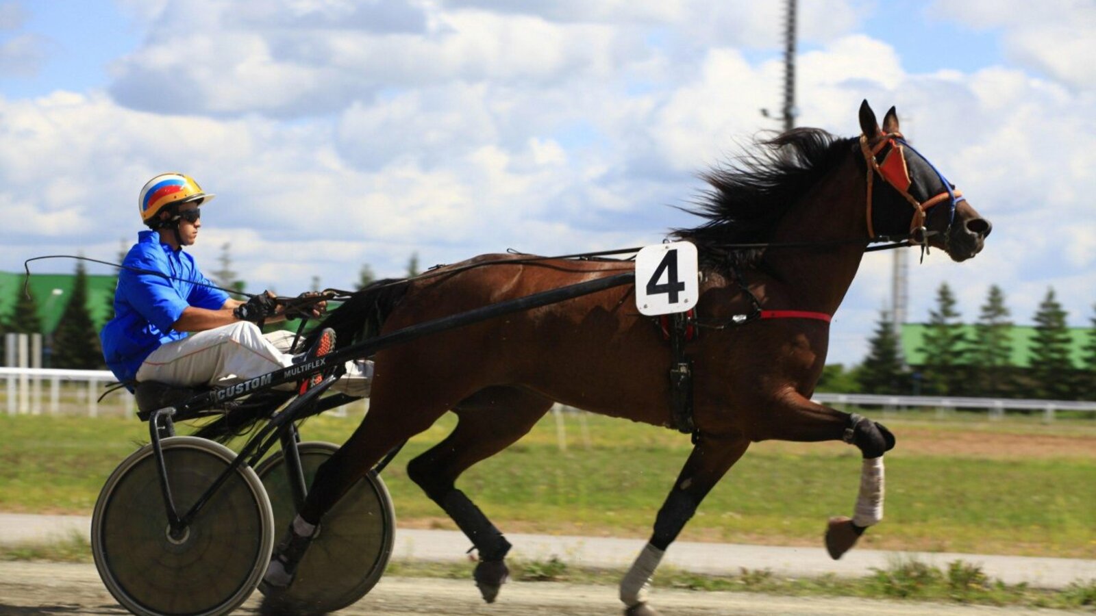 предоставлено ипподром «Акбузат»