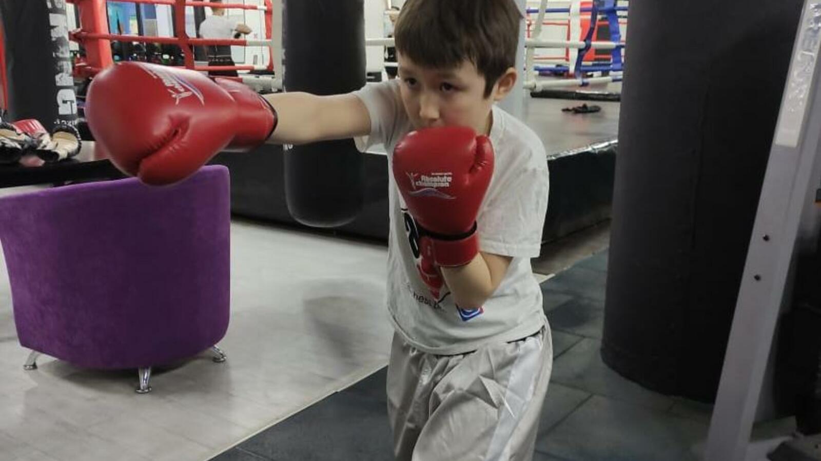 Федерация шахбокса РБ