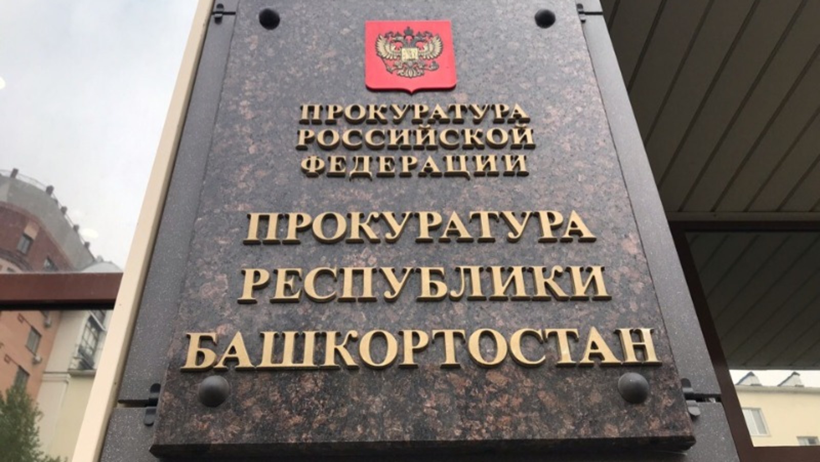 Ксения Калинина