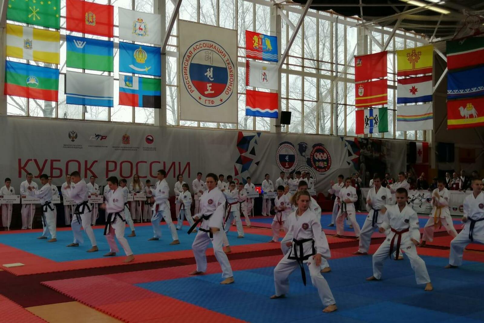Федерация тхэквондо РБ