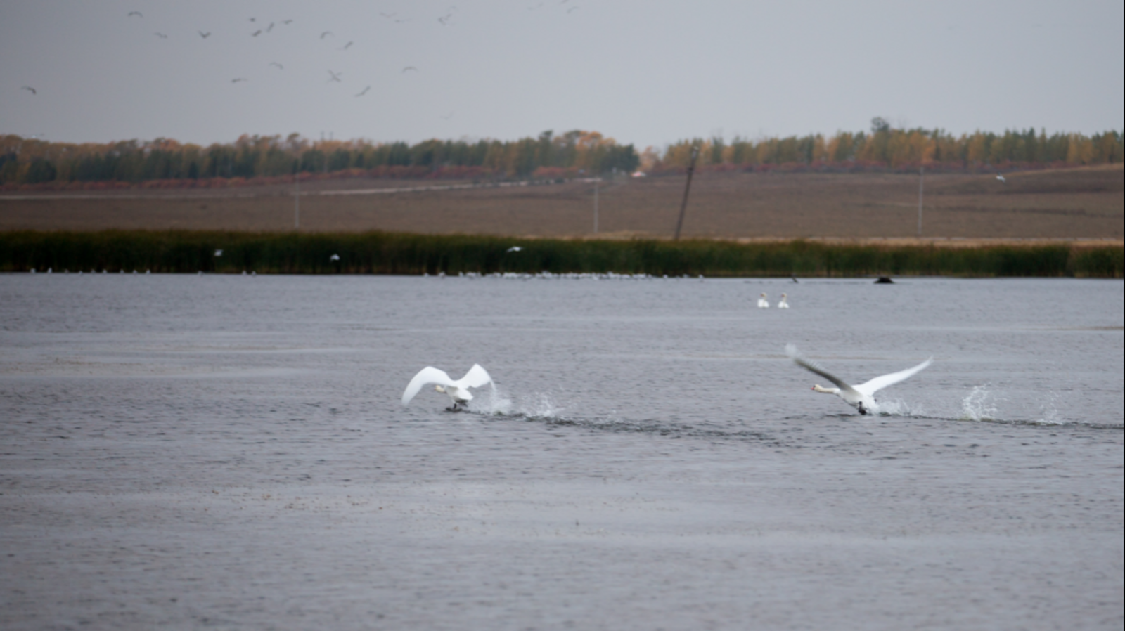 пресс-служба Минэкологии РБ