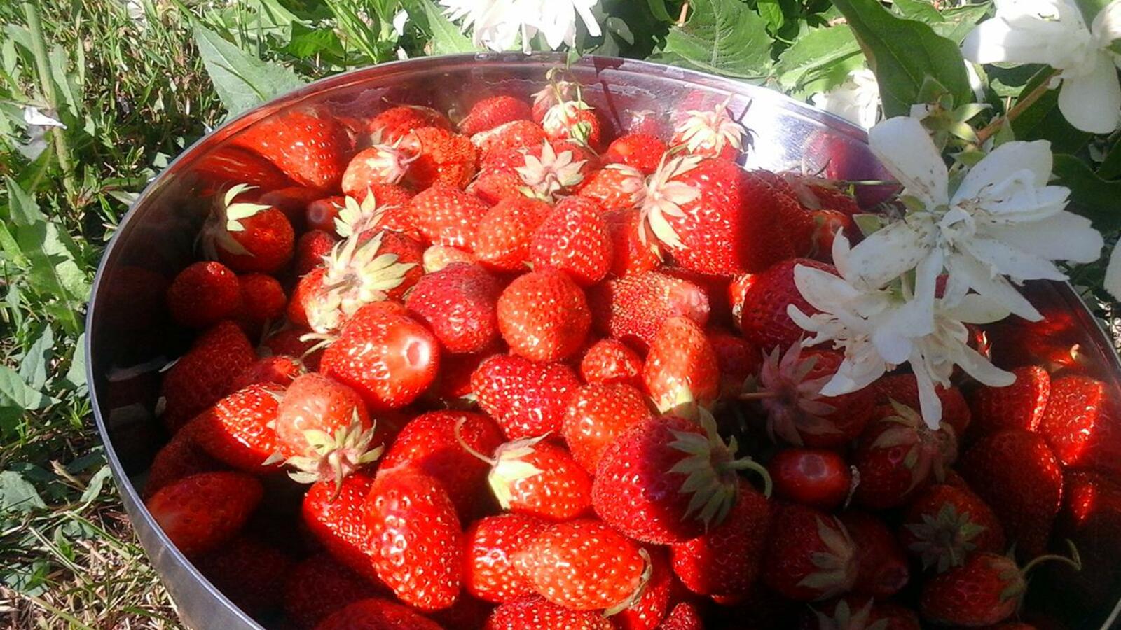 Галия Набиева