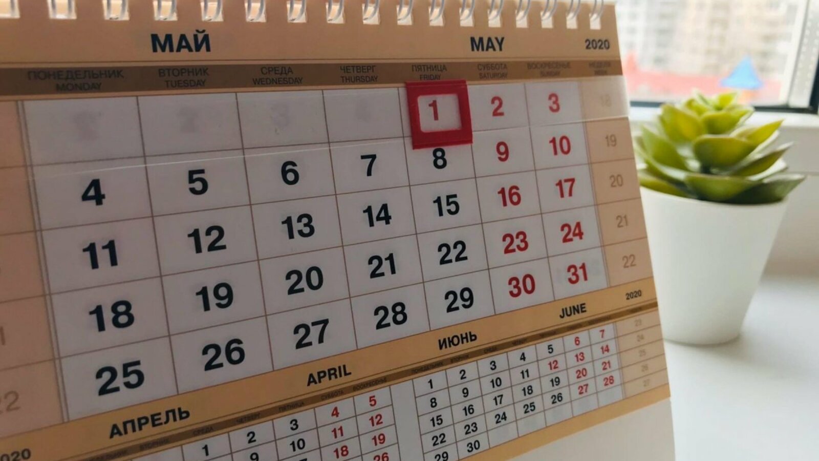 Ксения Калинина