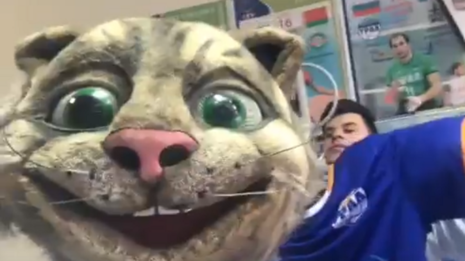 Стоп-кадр видео