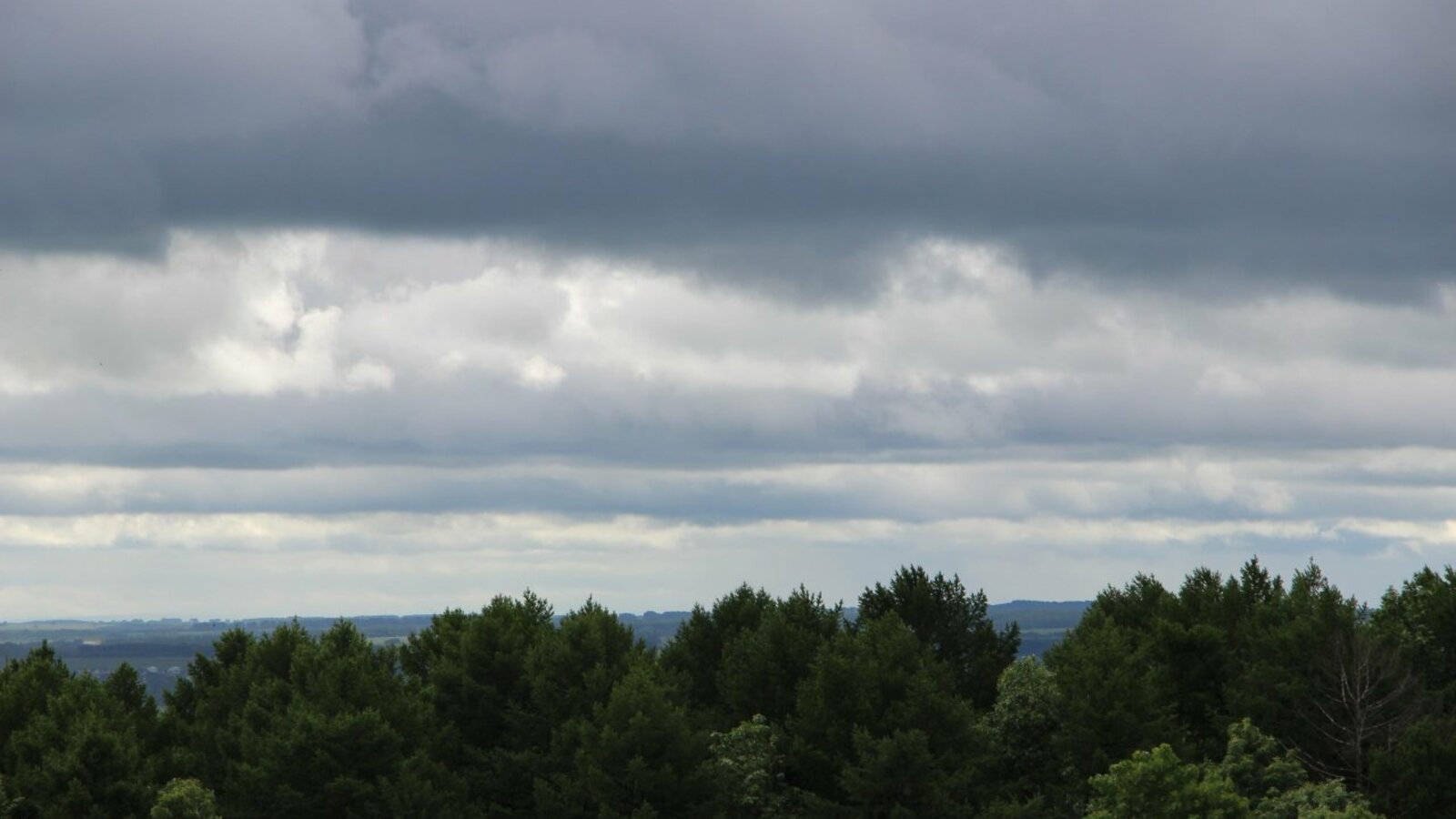 Ксения Калинина