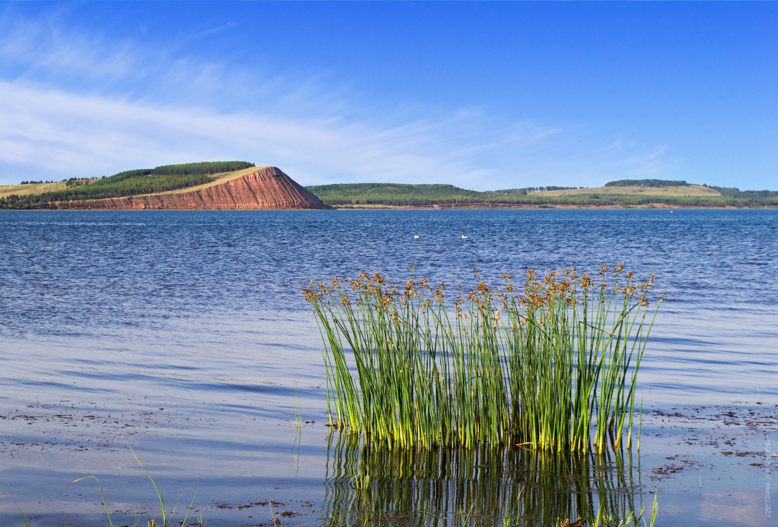 Дирекция по ООПТ РБ