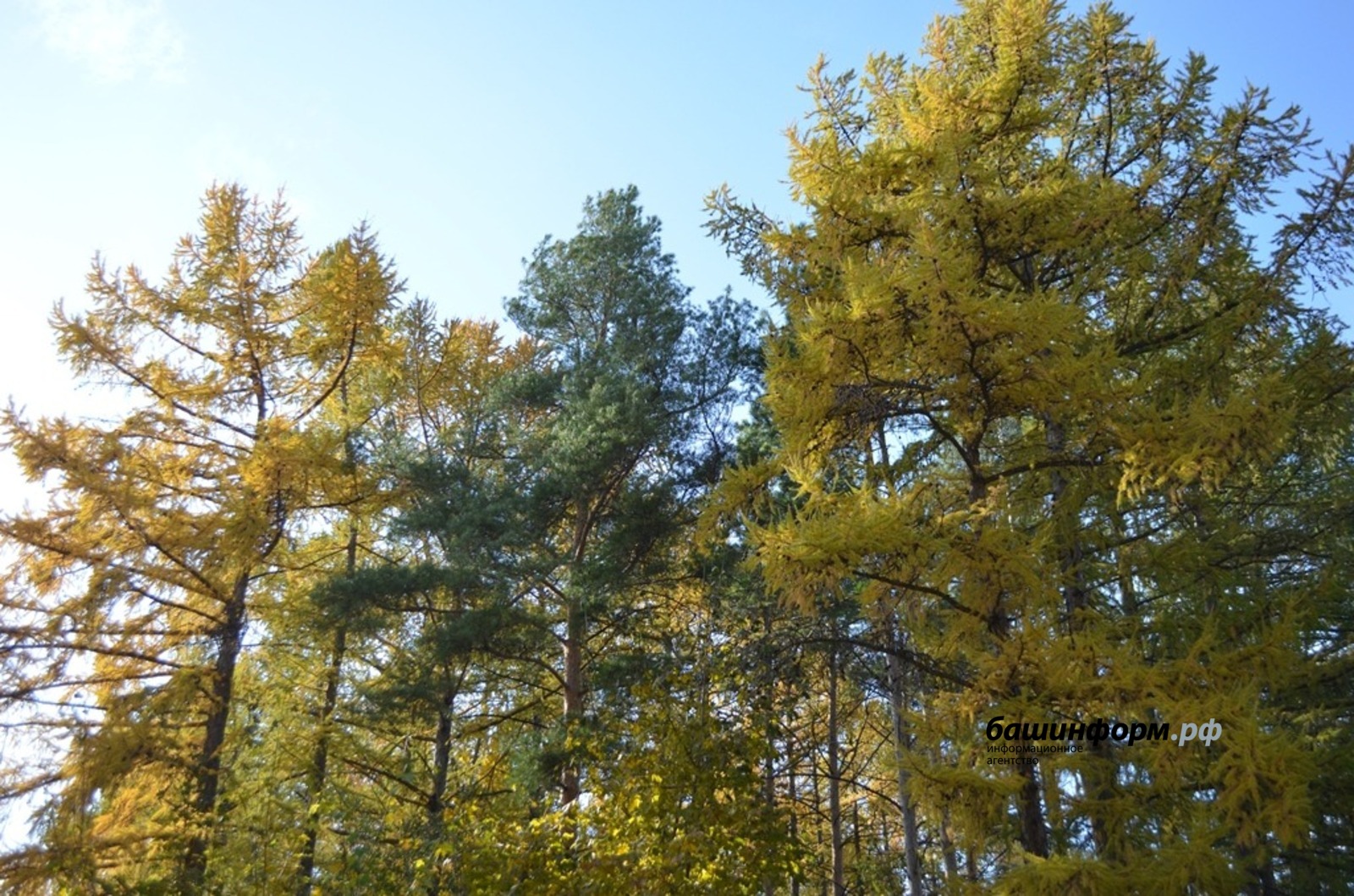 Ксения Калинина