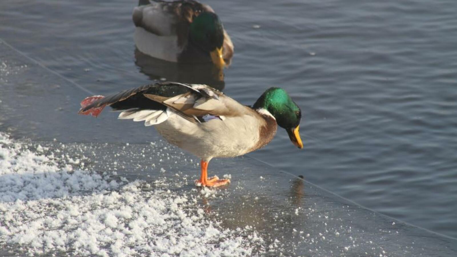 национальный парк «Башкирия»
