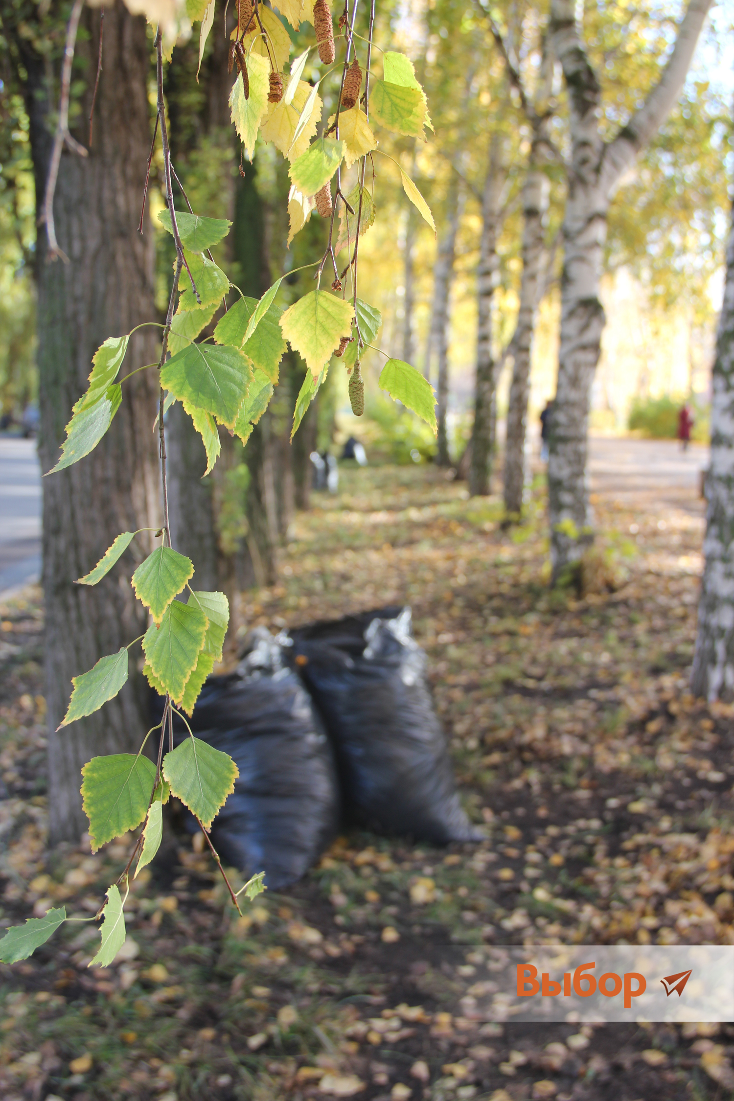 90 кубических метров опавшей листвы собрано в Салавате на очередном экологическом субботнике