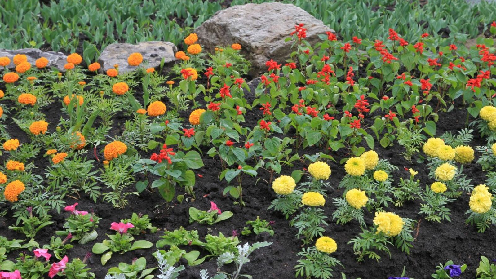 Олег Яровиков