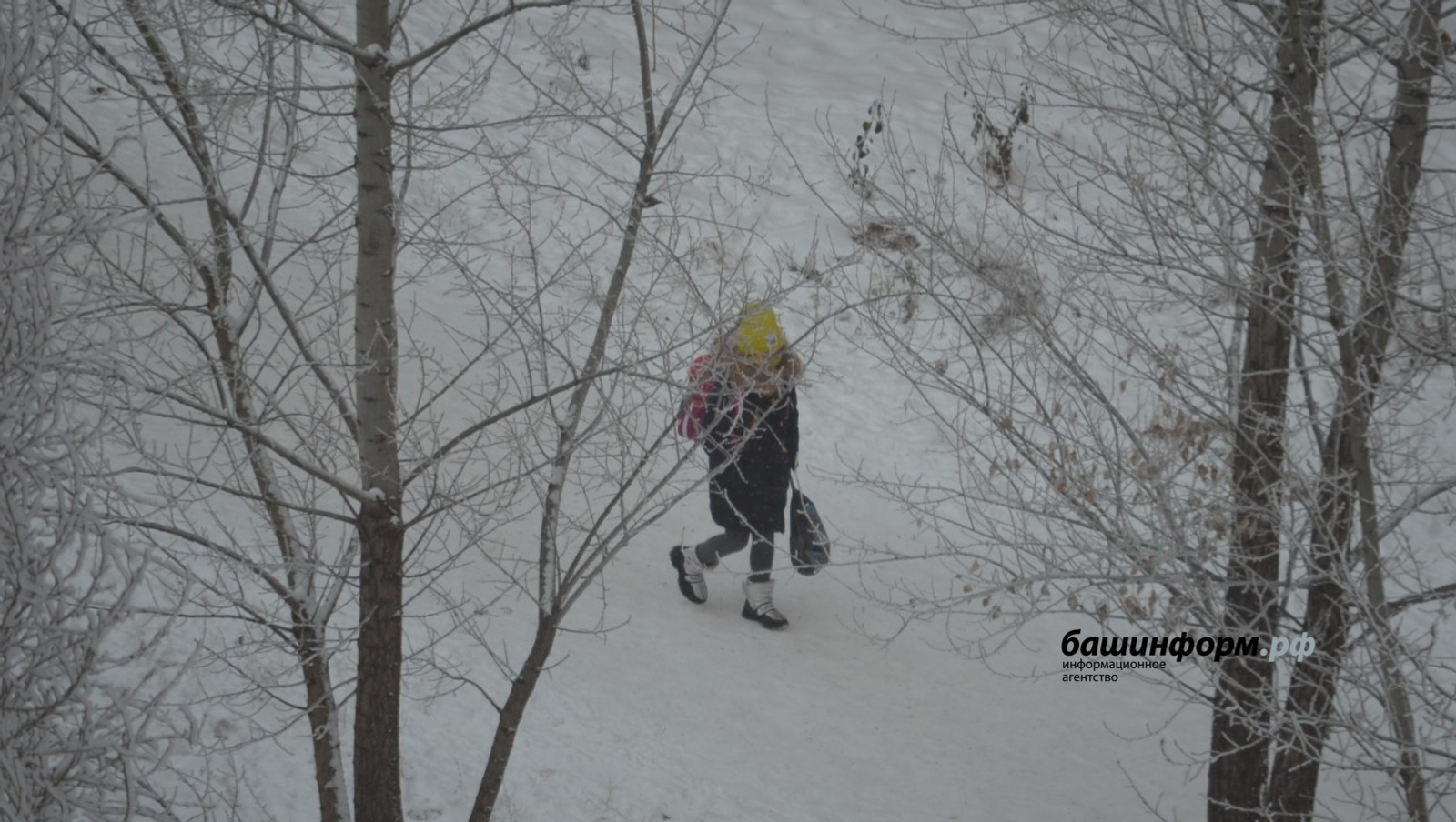 Ксения Калинина