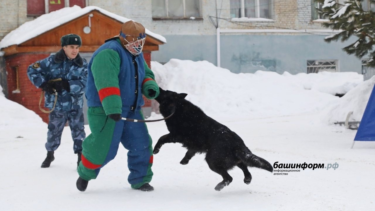 Валерий Шахов