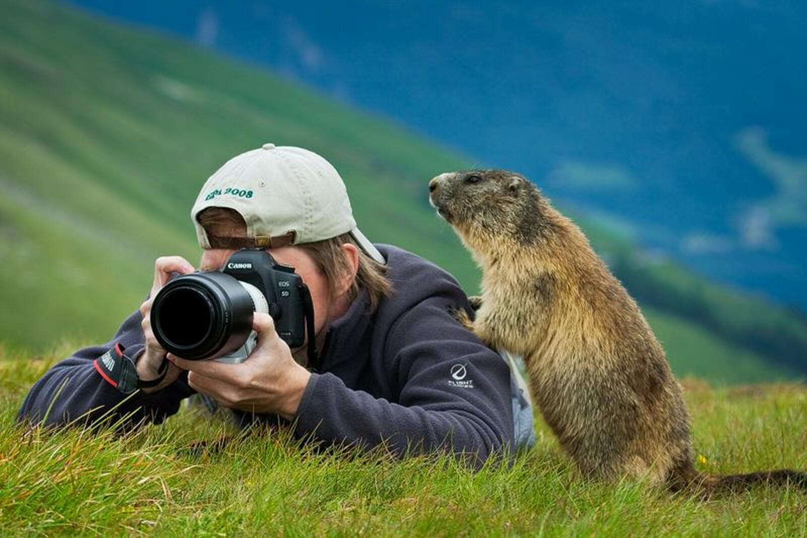 wildlifetravel.ru