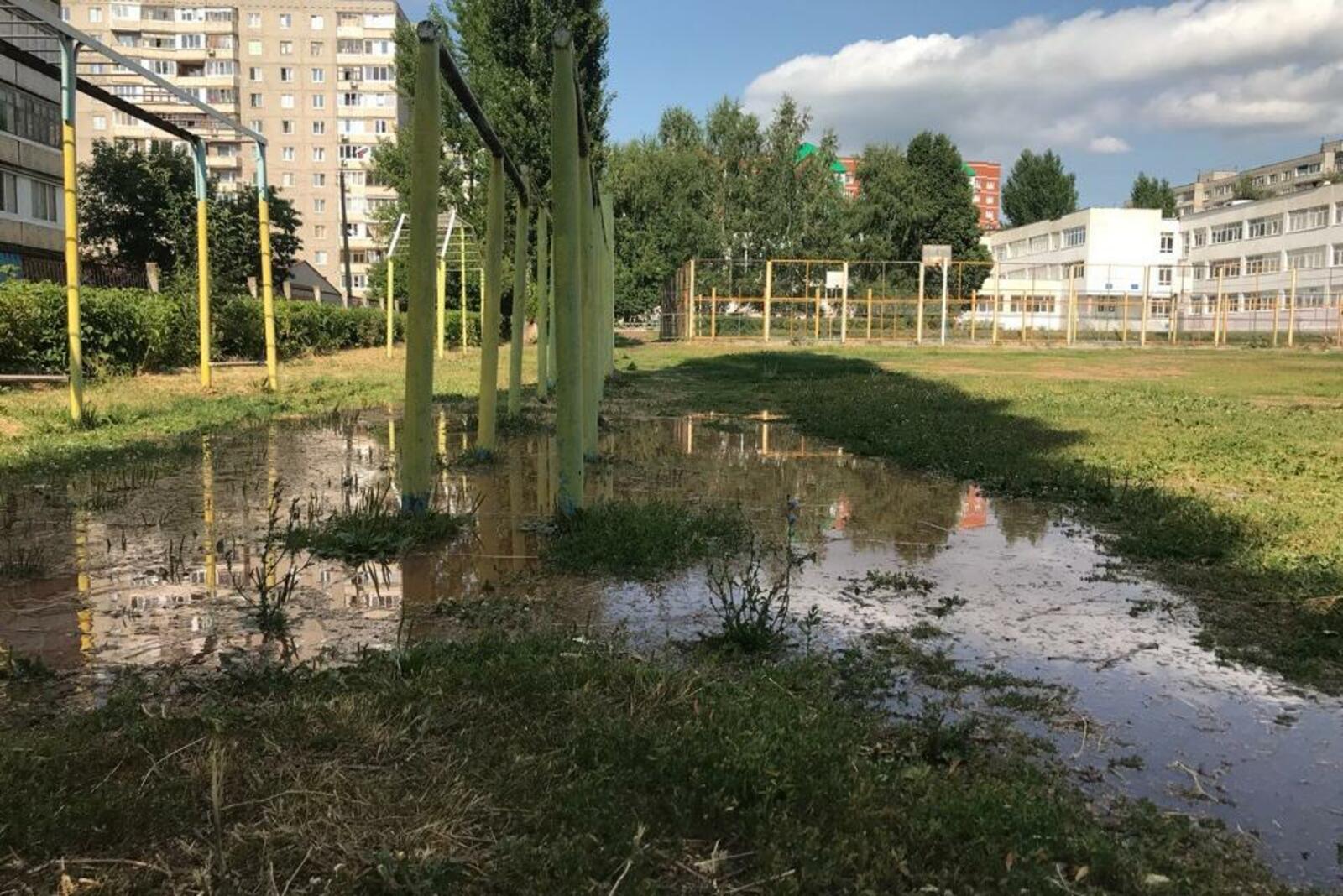 Ксения Калинина