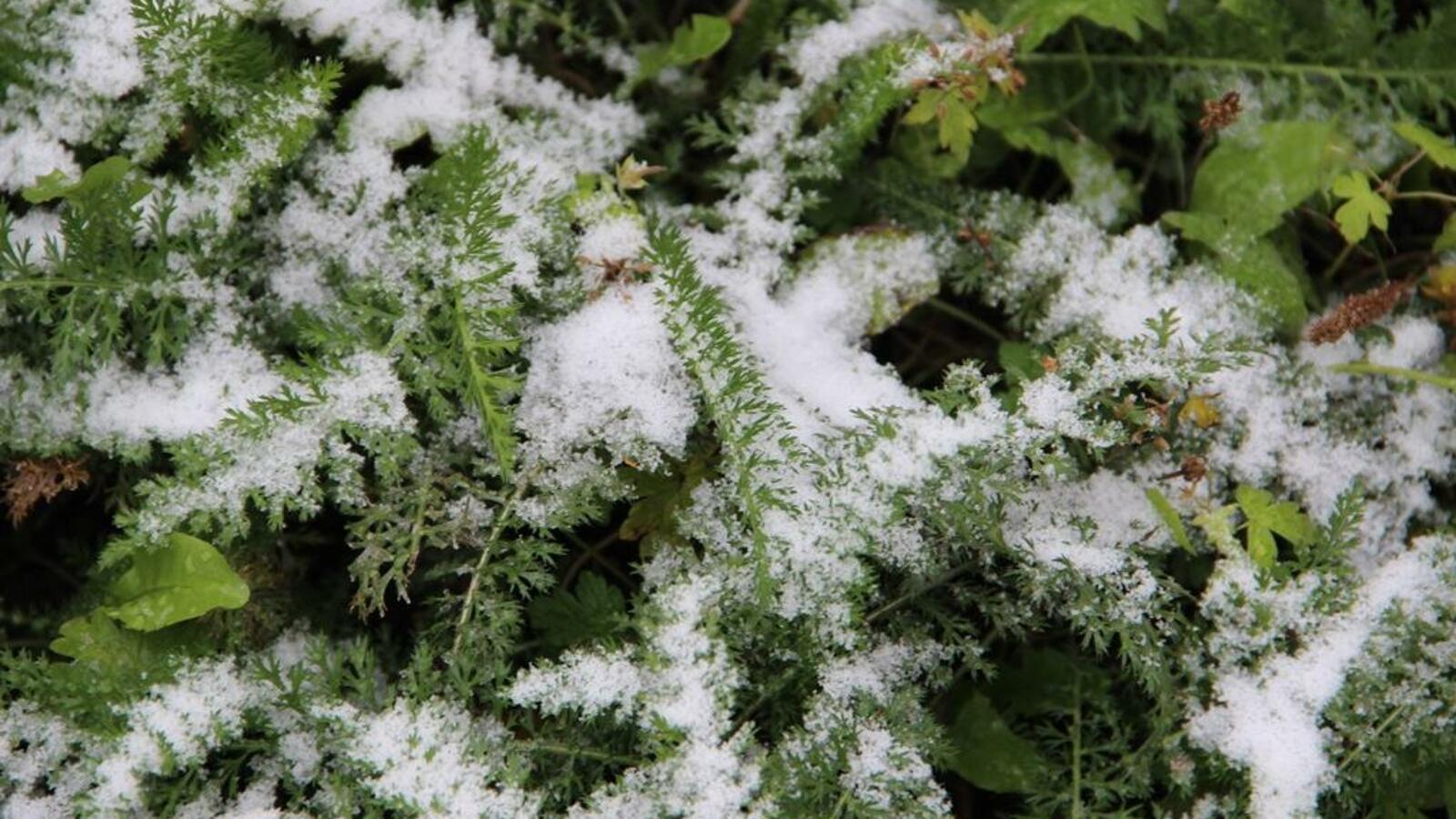 Ксения Калинина