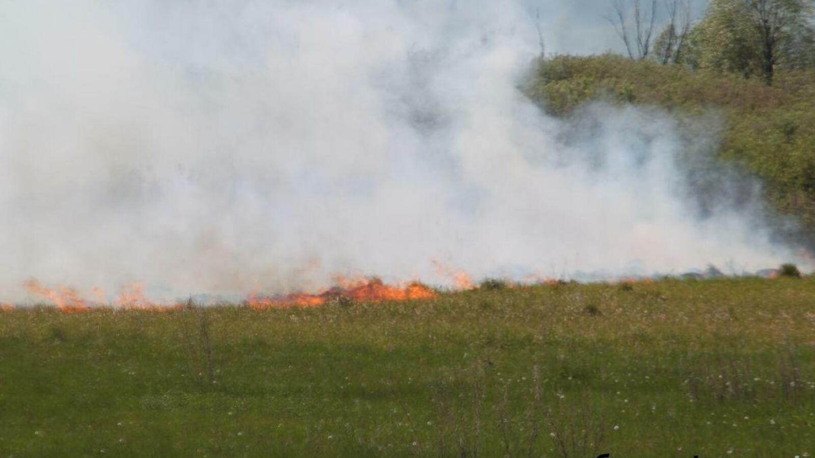 ИА «Башинформ»