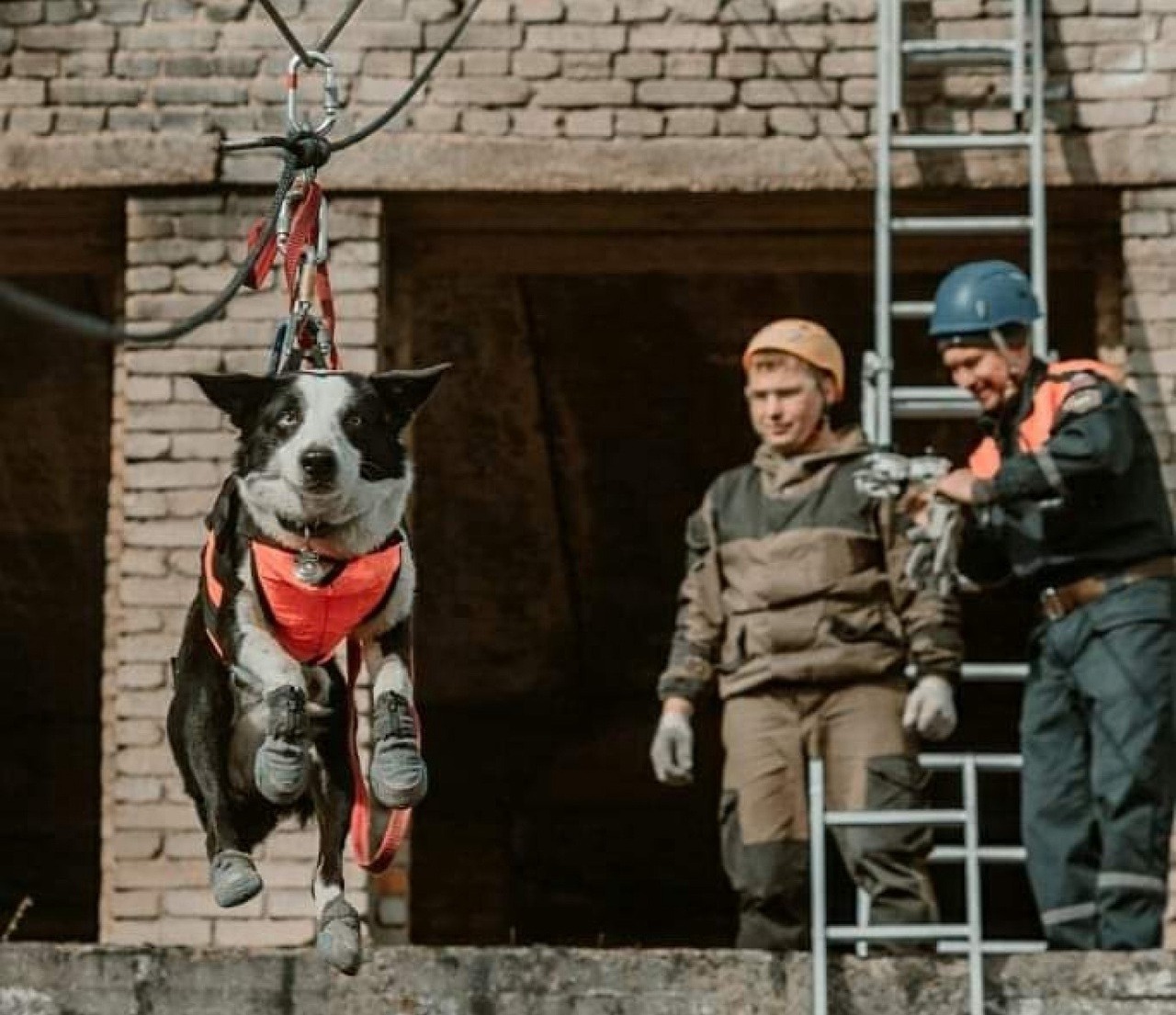 сайт Госкомитета РБ по ЧС