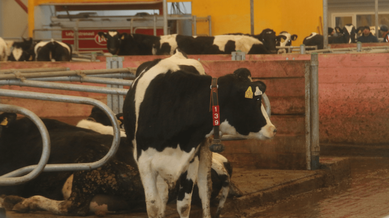 Минсельхоз РБ