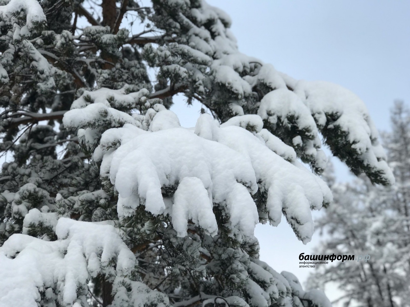 Ксения Калинина