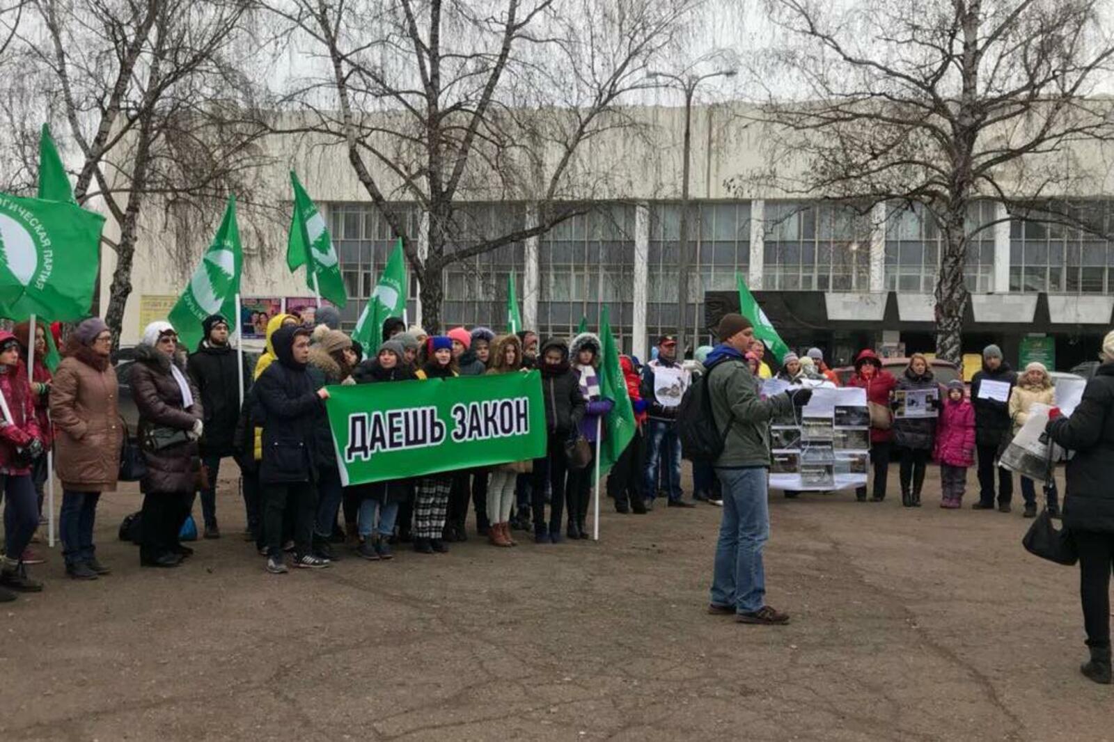 «Зеленые»