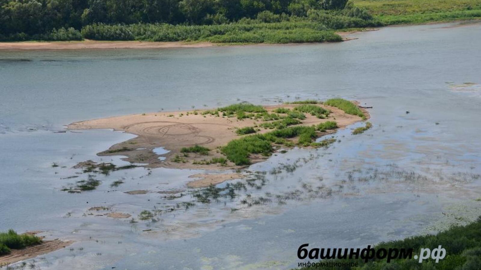 Ксения Калинина