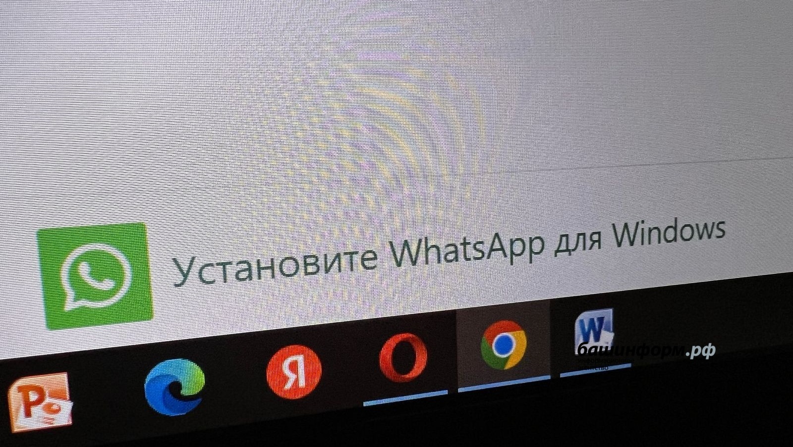 Ксения Калинина