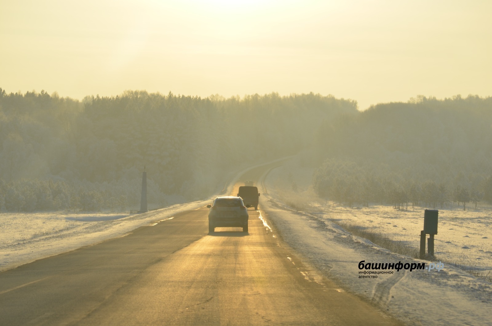 Ксения Калинина
