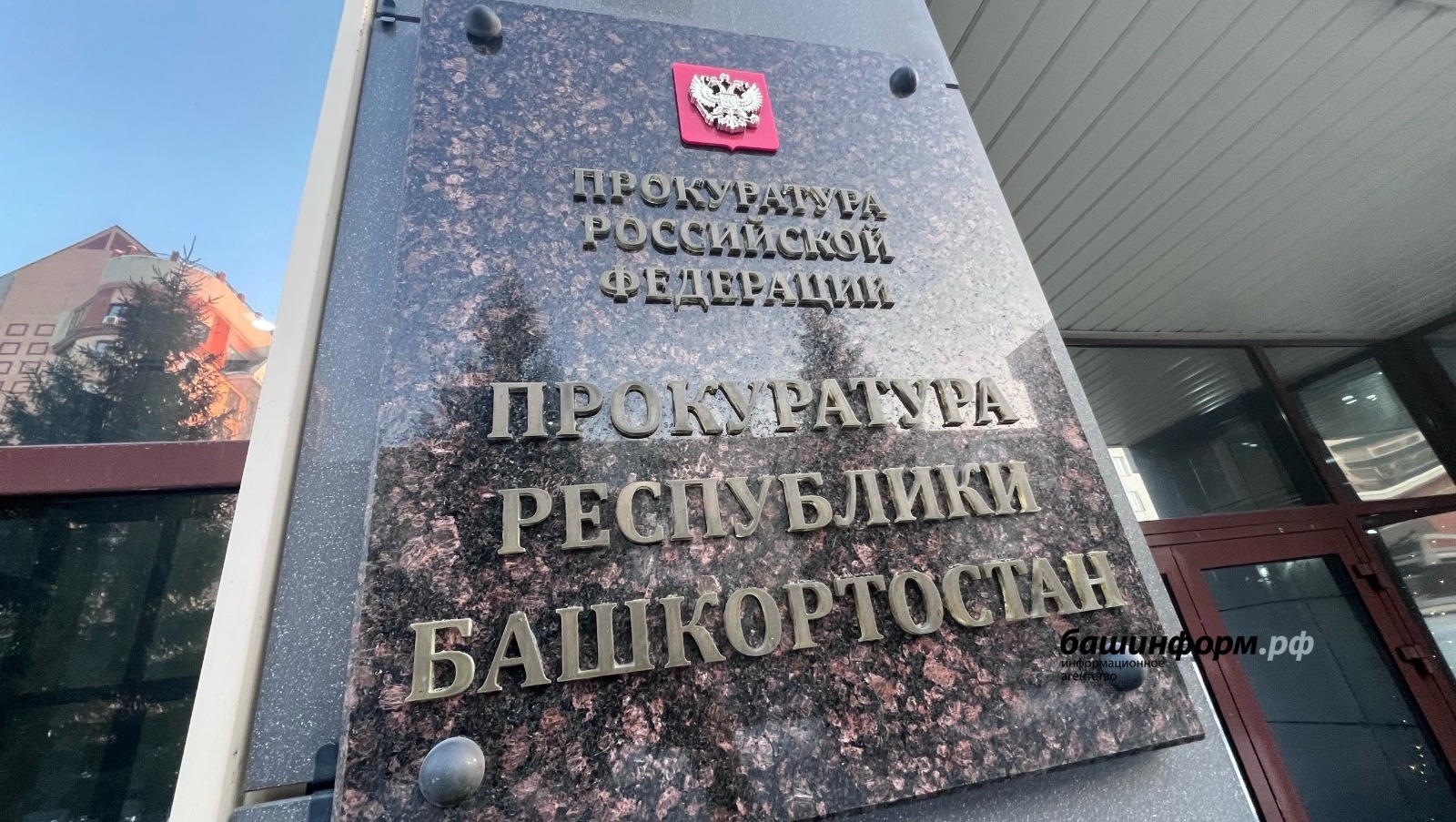 Ксения Калинина