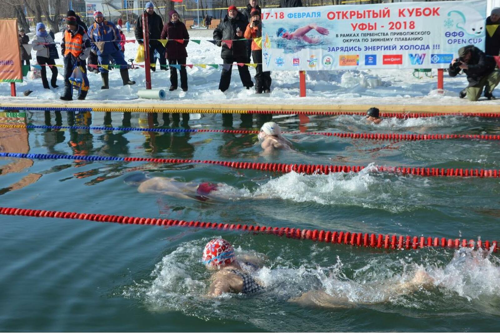 Елена Ледяйкина