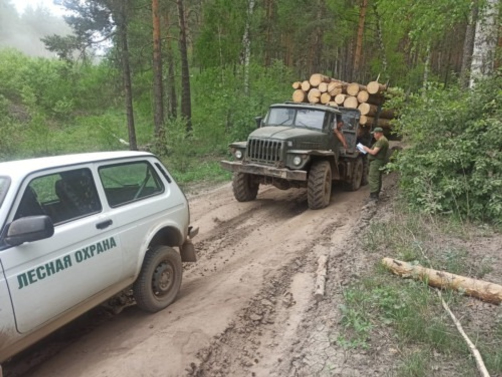 Башҡортостандың Урман хужалығы министрлығы